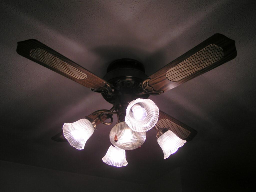 ceiling fan 1501356