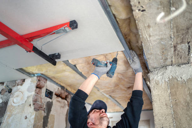 Ceiling Drywall Installation Handyman